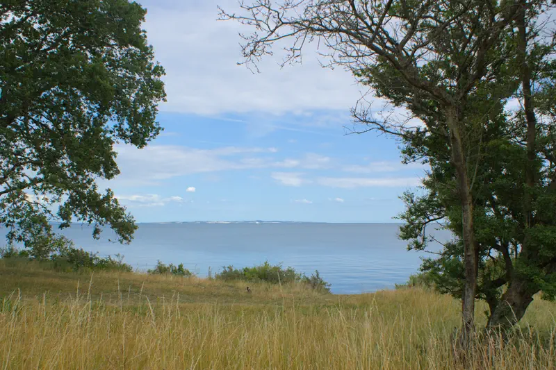 Dry meadow above the ocean